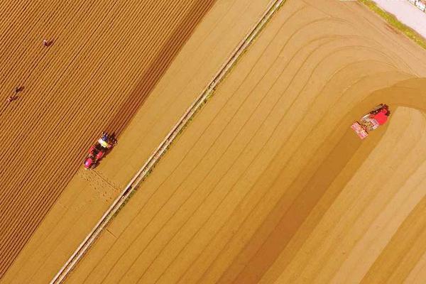 异世界搞笑冒险番为何吸引人？独特设定与反差角色是关键