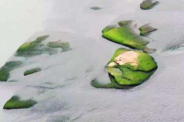 免费在线可阅读漫画成首选，却面临凯发k8国际首页登录的版权等难题待剖析？