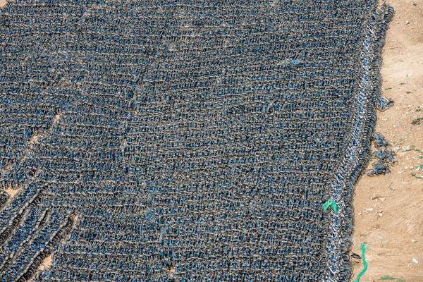 《海贼王第890集》在线观看