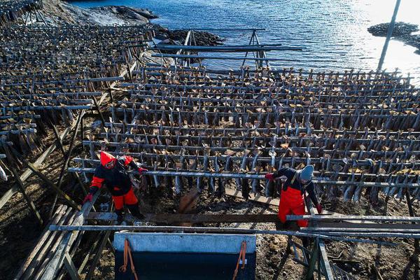 霸气女头像超拽高雅动漫