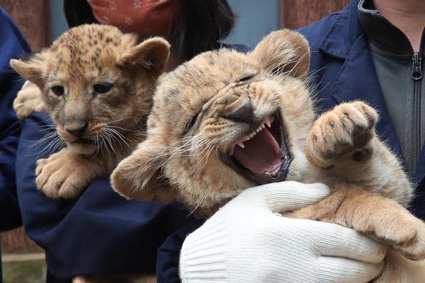 绝世唐门动漫全集免费