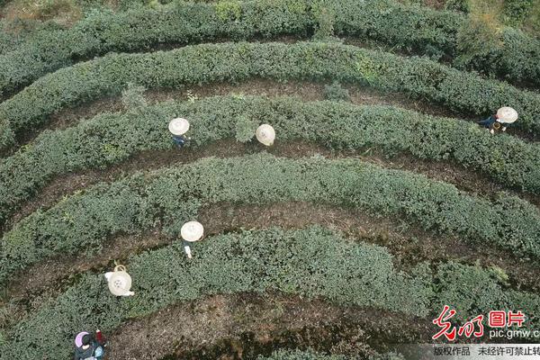 笔趣阁手机版：优质小说阅读软件，类型全且可自由查找