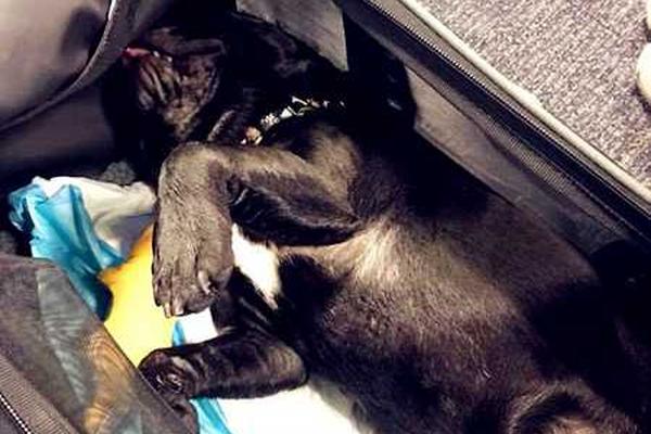 弱点漫画在线观看