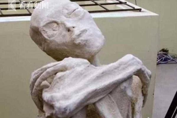 《海贼王第890集》在线观看