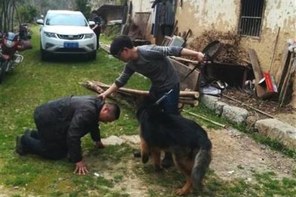 绝世唐门小说txt下载完本