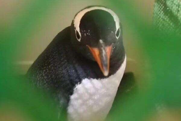 阅站漫画app最新版:免费搜索全网漫画,畅享多种便捷阅读体验