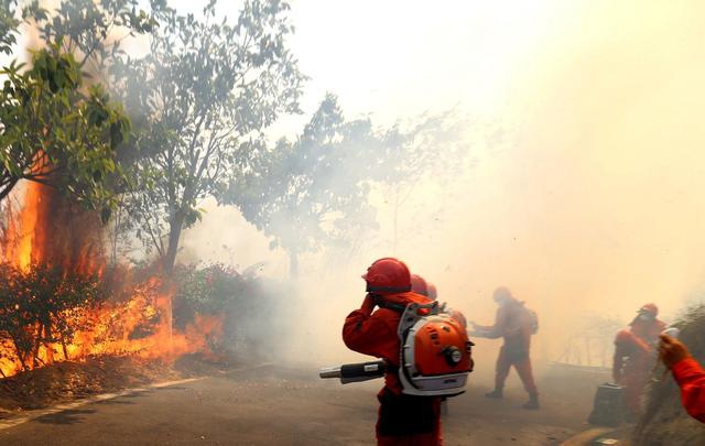 异世界搞笑冒险番为何吸引人?独特设定与反差角色是关键