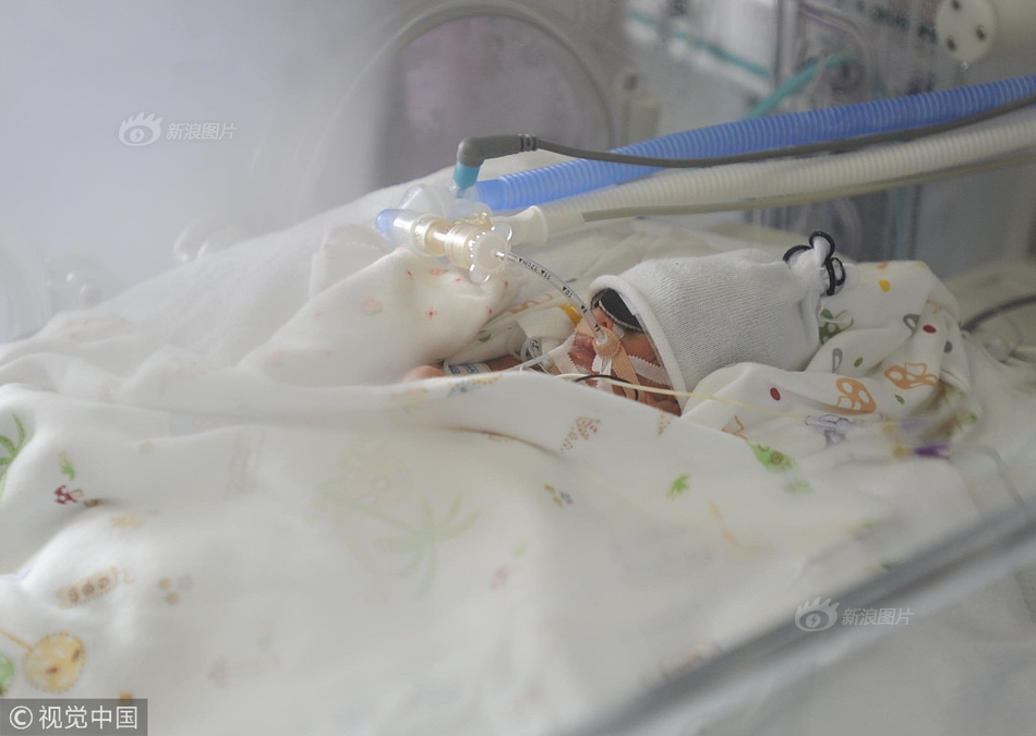 哔哩哔哩隐藏内容怎么找？特殊标签与搜索技巧是关键