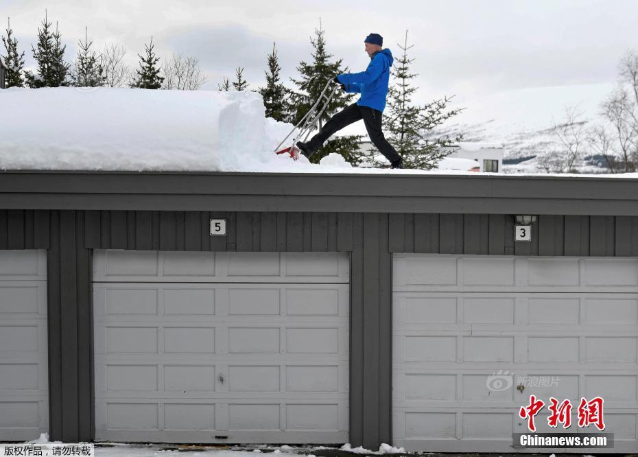 纯情罗曼史第四季