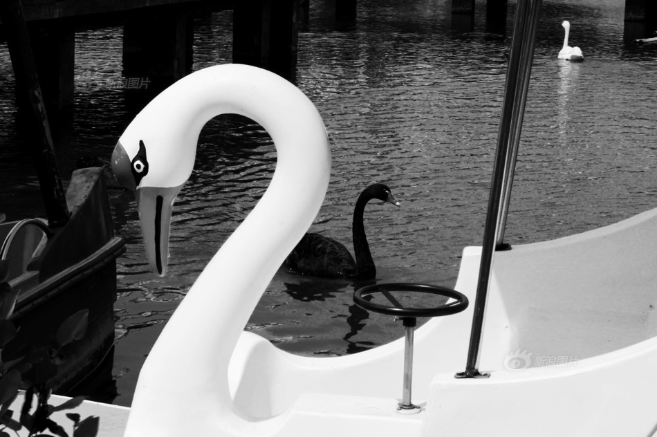 数字阅读普及下，韩漫免费观看的凯发k8国际首页登录的版权风险与安全提示