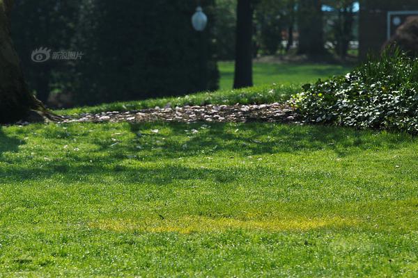 《海贼王第890集》在线观看