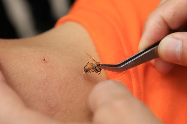 斗破苍穹老粉必看！正版免费观看渠道及支持正版的意义