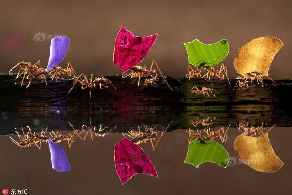 妄想眼镜下拉式在线观看