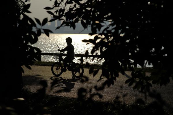 樱花动漫日漫排行榜