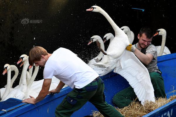 撒野漫画在线下拉式免费观看