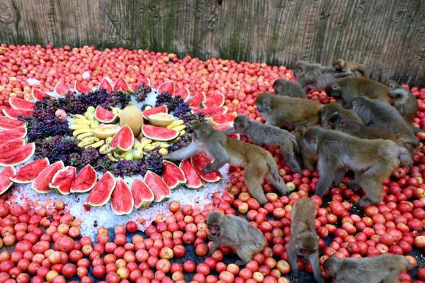 数字阅读普及下，韩漫免费观看的凯发k8国际首页登录的版权风险与安全提示