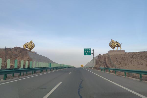 战神 的绝医毒妃