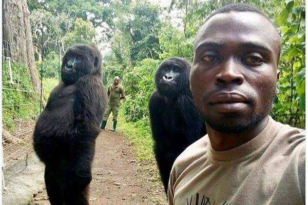 缘之空借兄妹情纠葛引发思索，为何对兄妹恋情描绘引争议？