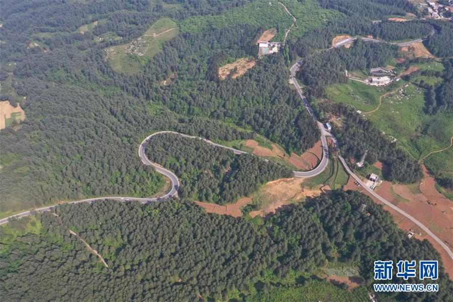 《海贼王第890集》在线观看