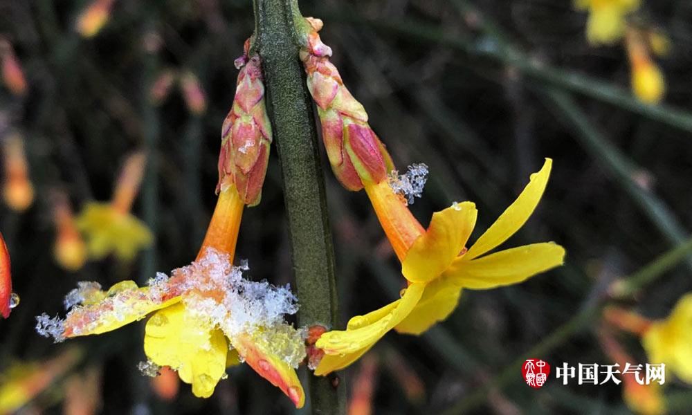 备受关注的死神230模型，设计与工艺究竟有多出色？