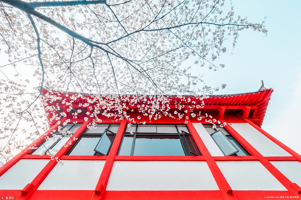 备受关注的死神230模型，设计与工艺究竟有多出色？