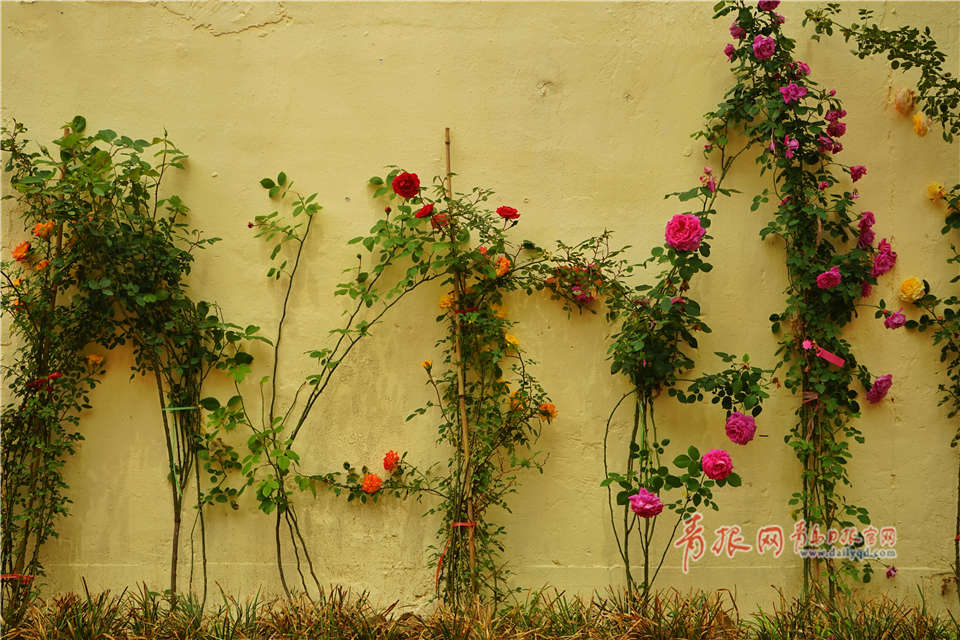 阅站漫画：资源丰富更新快，免费福利多，阅读体验超棒