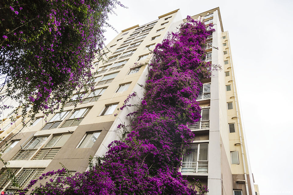 异世界搞笑冒险番为何吸引人？独特设定与反差角色是关键