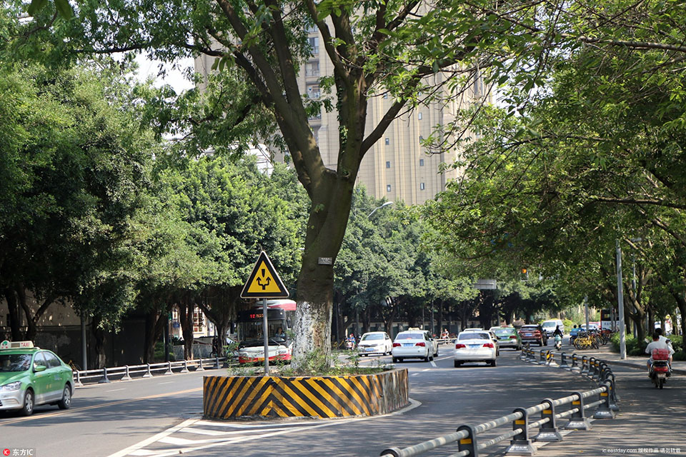 《海贼王第890集》在线观看