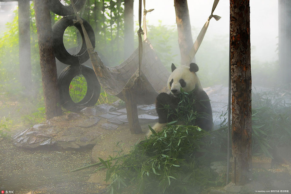 影视作品中万人迷反派为何更吸睛？如何塑造有魅力反派？