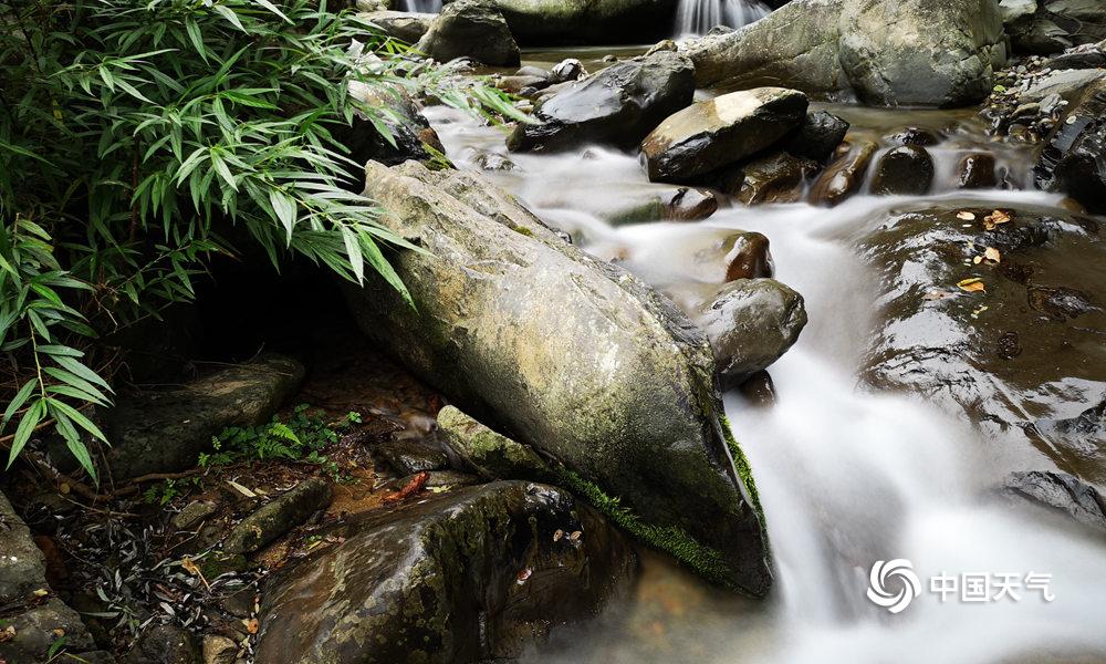 影视作品中万人迷反派为何更吸睛？如何塑造有魅力反派？