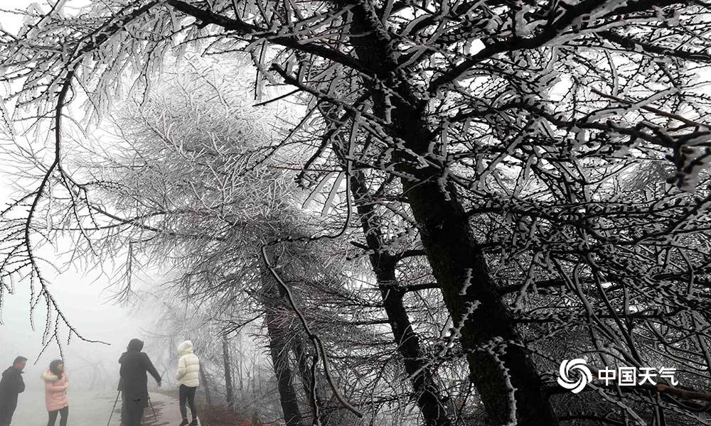 笔趣阁手机版：优质小说阅读软件，类型全且可自由查找