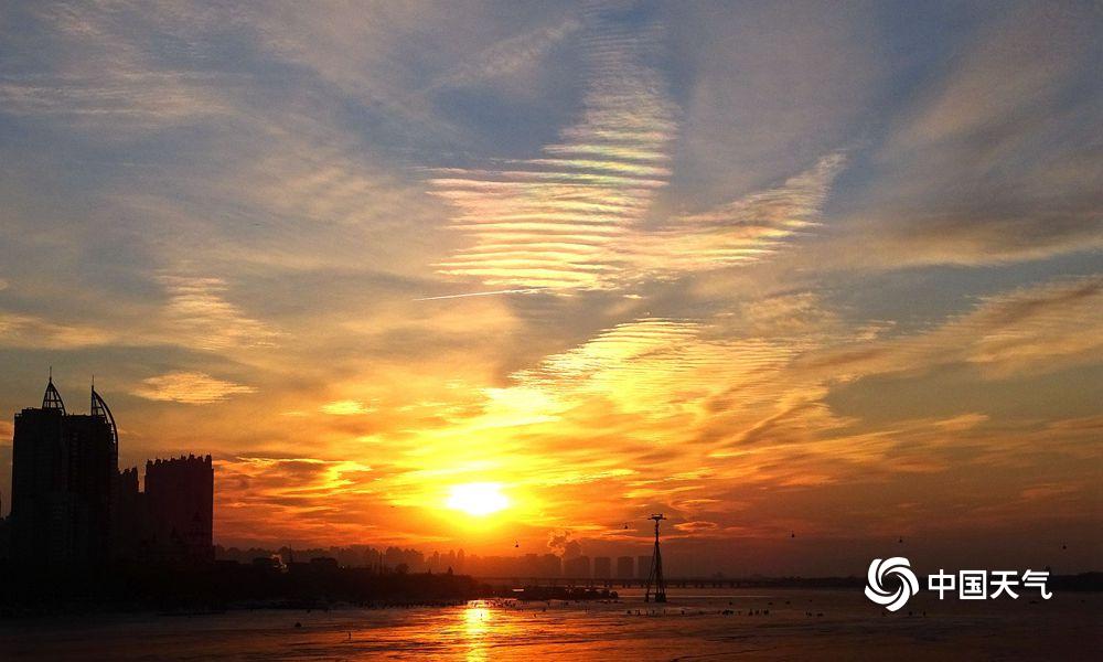 免费漫画阅站官方正版:无广告弹窗,全网漫画免费看