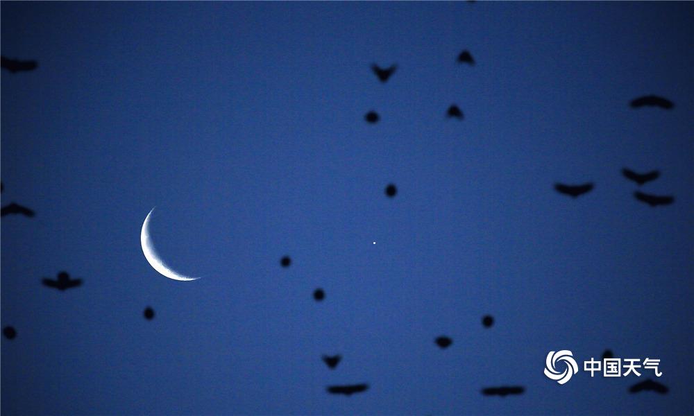 网络文学爱好者必读！新笔趣阁现状及使用建议大揭秘？