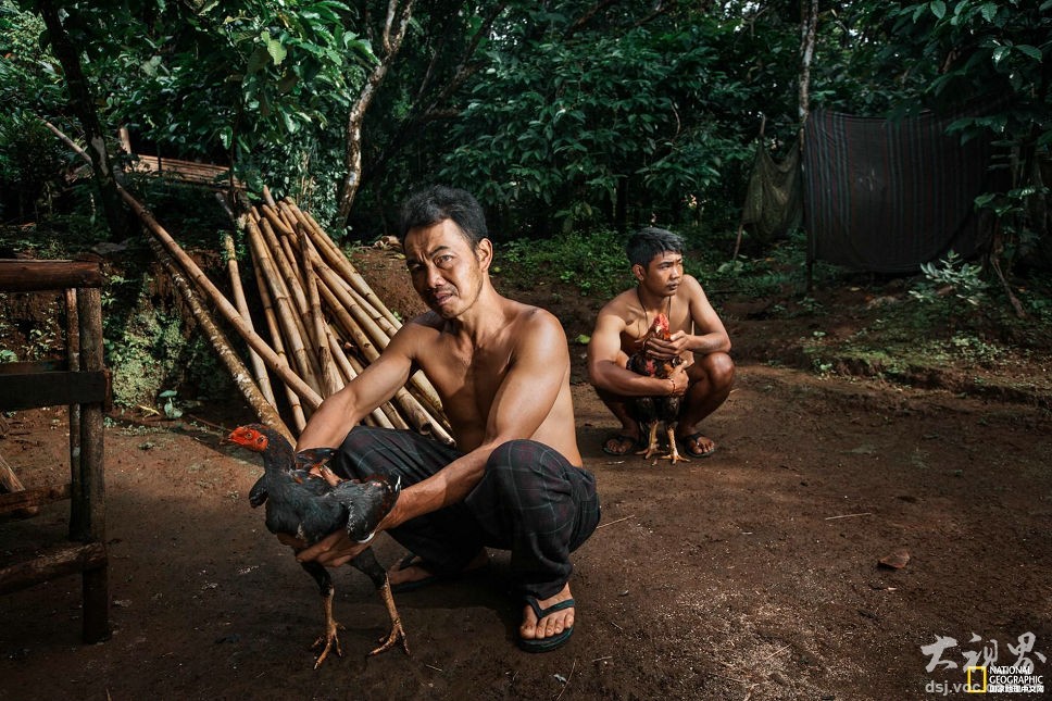 绝世唐门神界传说漫画