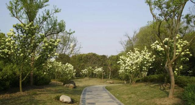 唐门英雄传漫画下拉式