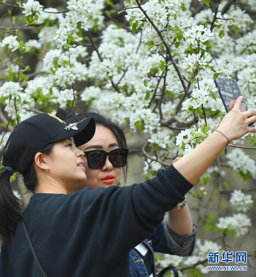 日漫车速超快的动漫