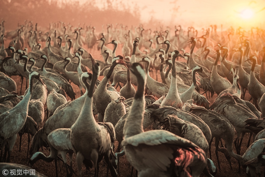 阅站漫画app最新版：免费搜索全网漫画，畅享多种便捷阅读体验