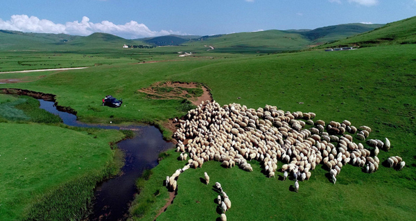 datealive 地铁逃生回归！biubiu免费加速，畅玩海量海内外精品手游