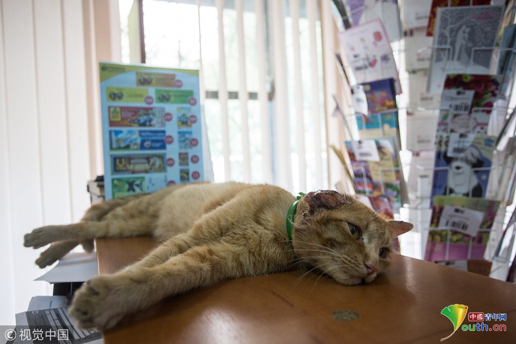 缘之空借兄妹情纠葛引发思索，为何对兄妹恋情描绘引争议？