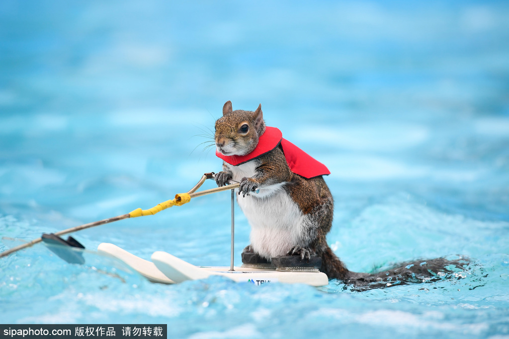 同人：约会大作战datealive ex章节（3） ast存亡战 第一节