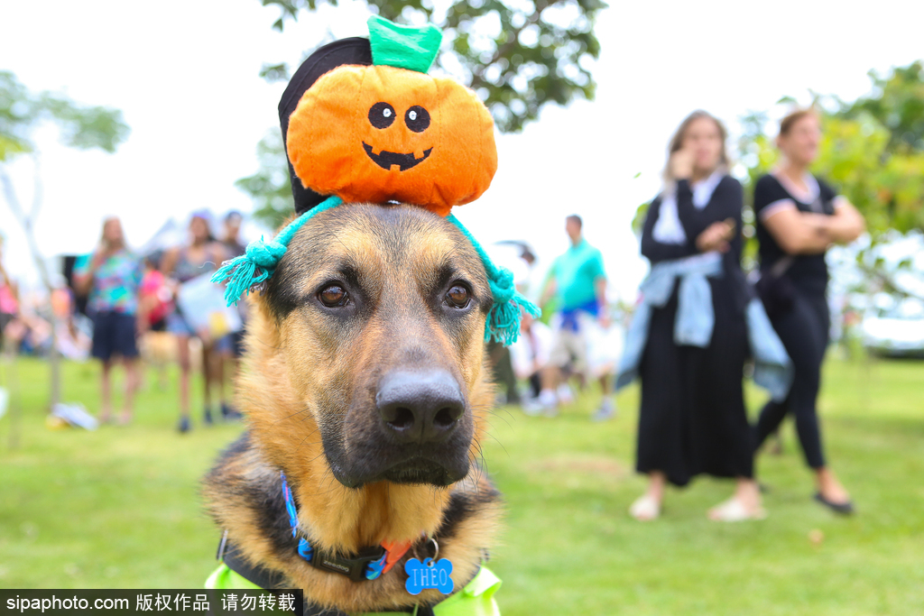 影视作品中万人迷反派为何更吸睛？如何塑造有魅力反派？