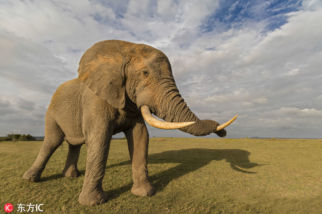 拜托了老师第二季风车