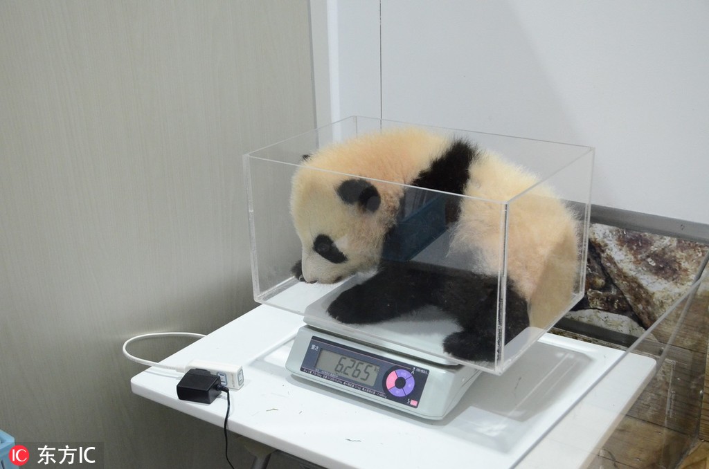 异世界搞笑冒险番为何吸引人？独特设定与反差角色是关键