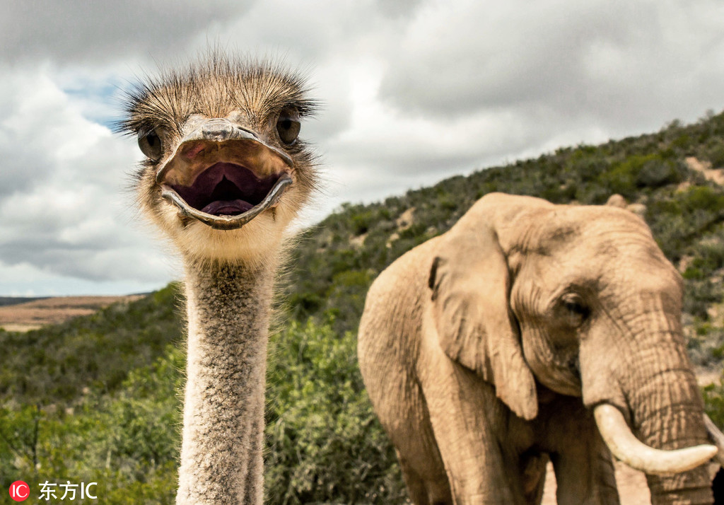 datealive 地铁逃生回归！biubiu免费加速，畅玩海量海内外精品手游