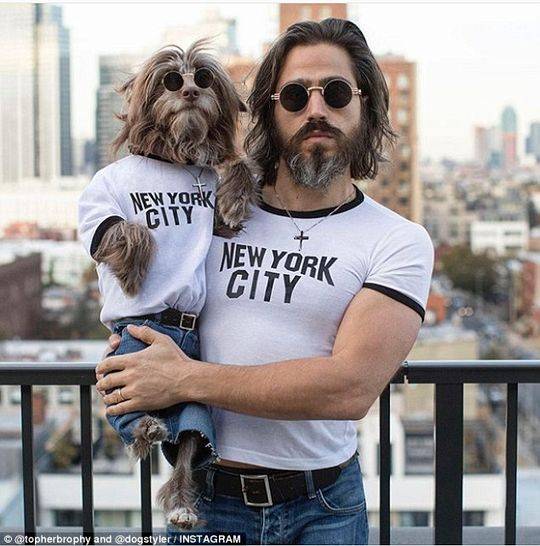 斗破苍穹老粉必看！正版免费观看渠道及支持正版的意义