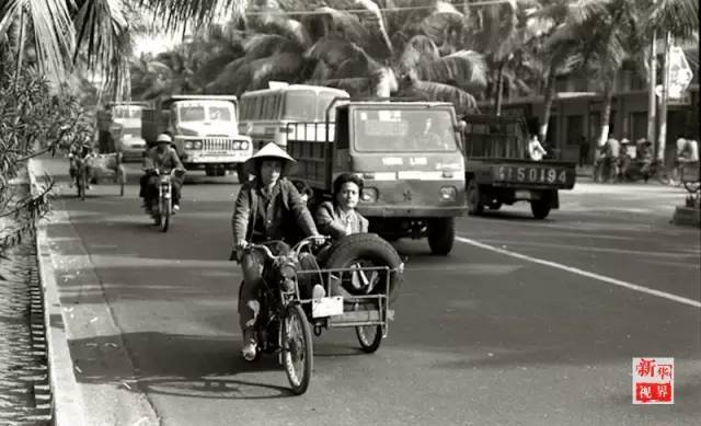 香菇可以和什么一起炒