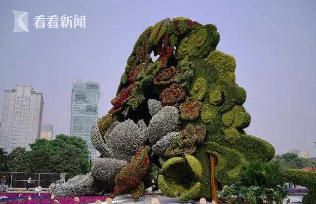 阅站漫画app最新版：免费搜索全网漫画，畅享多种便捷阅读体验