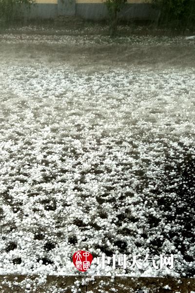 成了新帝的外室