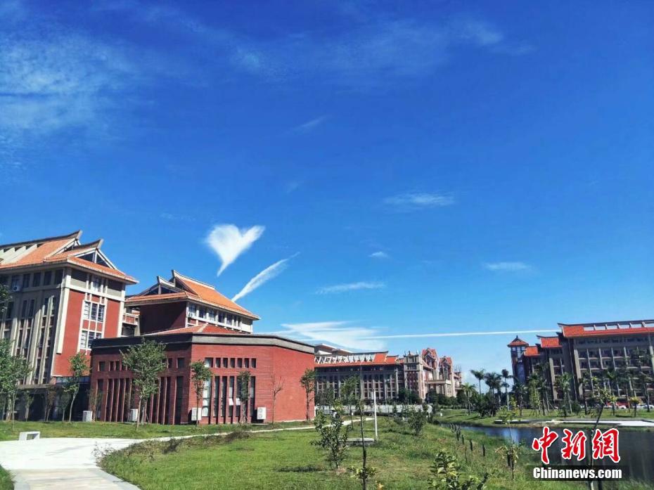 《海贼王第890集》在线观看