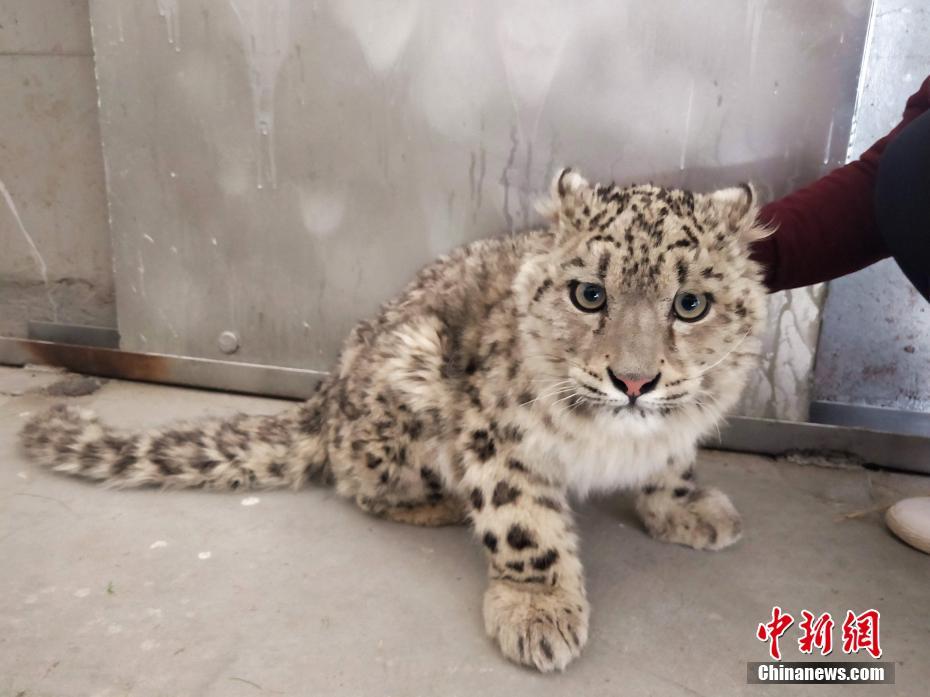 网络文学爱好者必读！新笔趣阁现状及使用建议大揭秘？